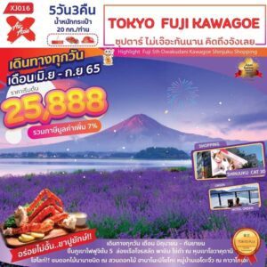 ทัวร์ญี่ปุ่น TOKYO FUJI KAWAGOE 5D3N โดยสายการบินแอร์เอเชีย เอ็กซ์ (XJ016)