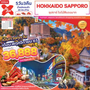 ทัวร์ญี่ปุ่น HOKKAIDO SAPPORO ASAHIKAWA 5D3N ซุปตาร์ ใบไม้สีแดงมาก