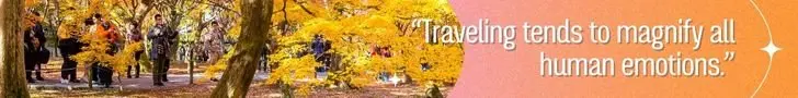 TravelProTeam.com