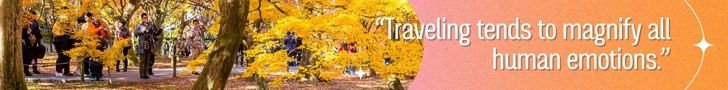 TravelProTeam.com