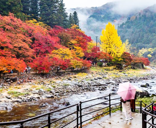 ทัวร์ญี่ปุ่นใบไม้เปลี่ยนสี : อุทยานโครังเค