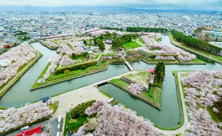 Hokkaido-Sakura-2024-04-24-0043