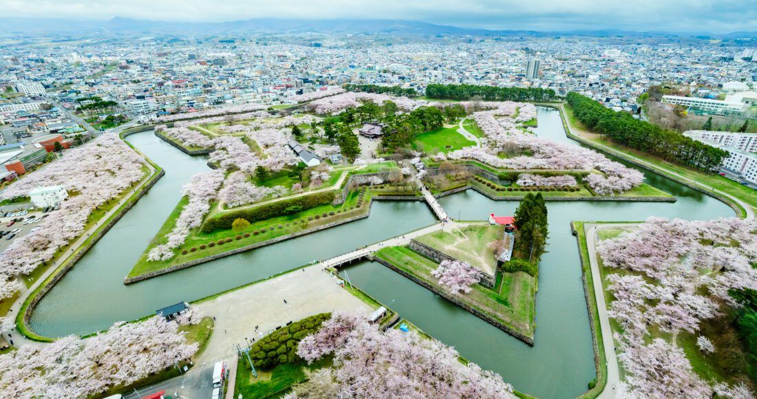 Hokkaido-Sakura-2024-04-24-0043