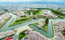 Hokkaido-Sakura-2024-04-24-0043