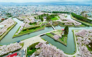 Hokkaido-Sakura-2024-04-24-0043