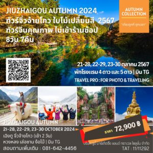 TravelProTeam.com