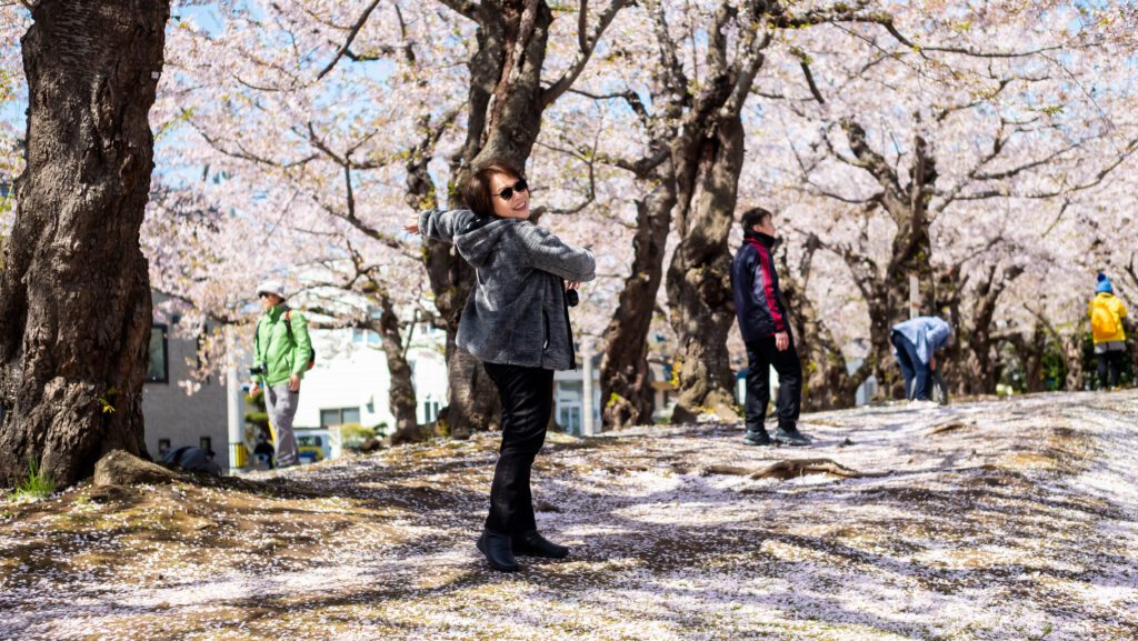 เดินชมซากุระ ที่สวน Goryokaku Park