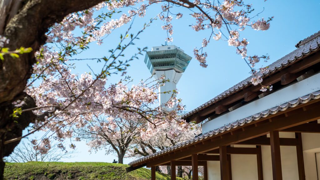 เดินชมซากุระ ที่สวน Goryokaku Park