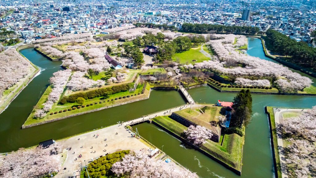 เดินชมซากุระ ที่สวน Goryokaku Park