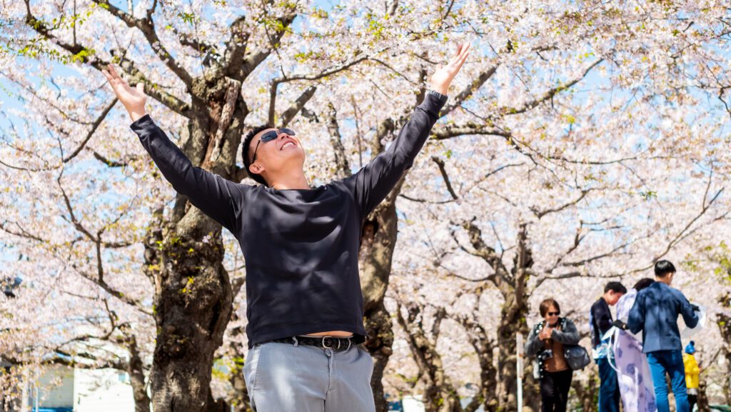 เดินชมซากุระ ที่สวน Goryokaku Park