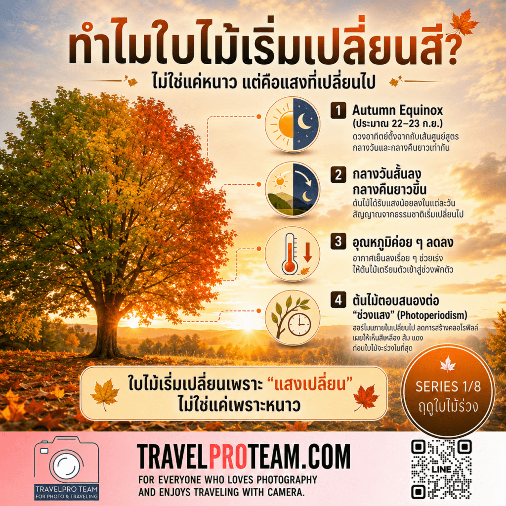 Autumn Equinox จุดเปลี่ยนของฤดูใบไม้ร่วง — Understanding the Autumn Equinox