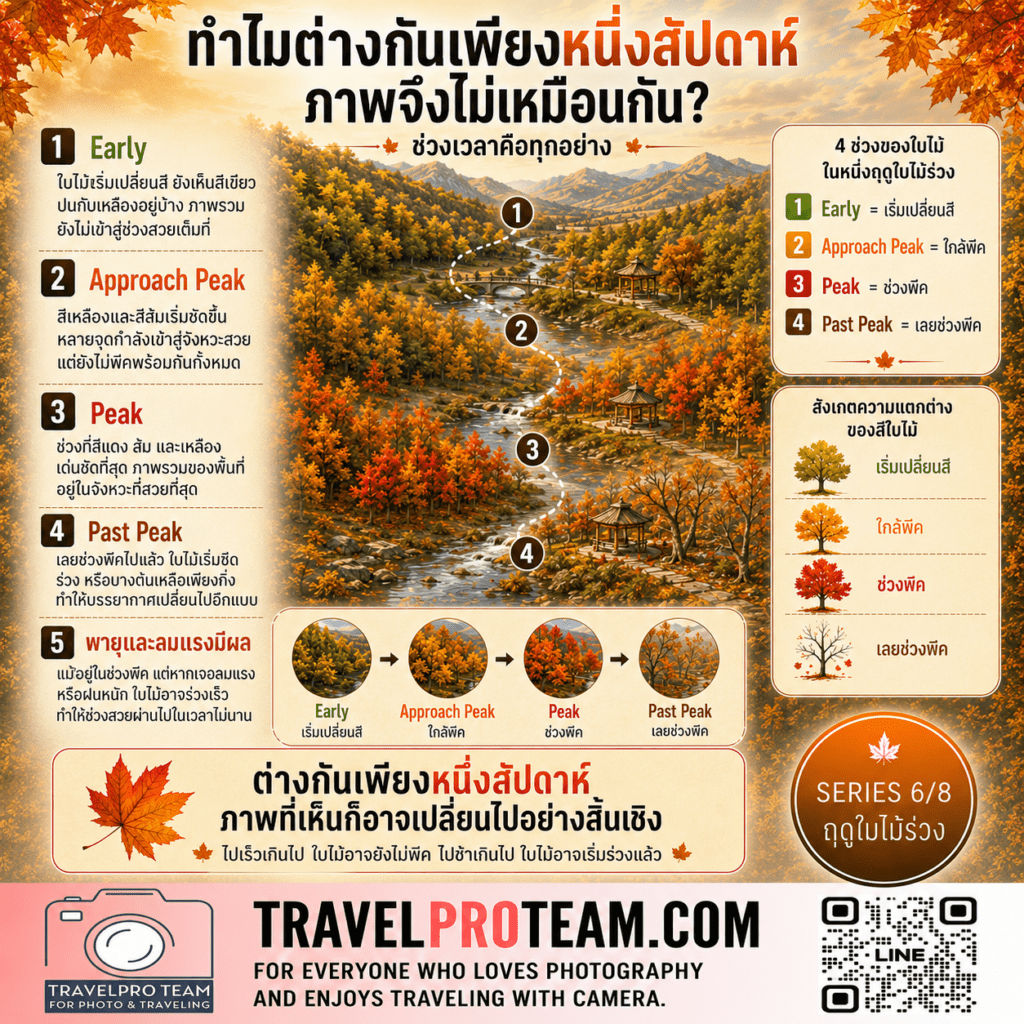 ทำไมช่วงพีคจึงไม่ตรงกับวันเดิมทุกปี — Why Peak Foliage Changes Every Year