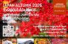 ทัวร์ญี่ปุ่นใบไม้เปลี่ยนสี 2026 เส้นทางโอซาก้าถึงโตเกียว