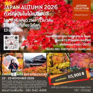ทัวร์ญี่ปุ่นใบไม้เปลี่ยนสี 2026 เส้นทางโอซาก้าถึงโตเกียว