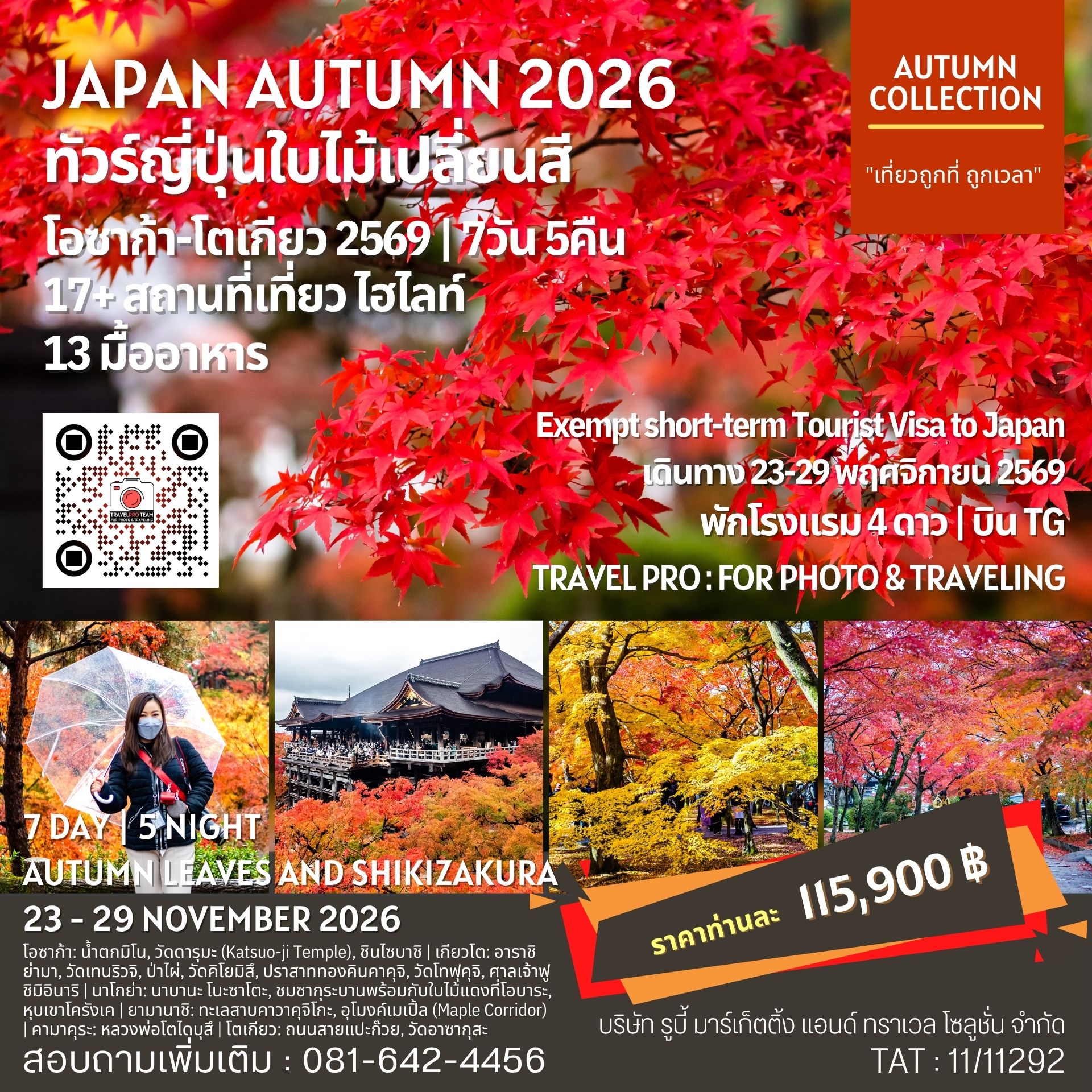 ทัวร์ญี่ปุ่นใบไม้เปลี่ยนสี 2026 เส้นทางโอซาก้าถึงโตเกียว