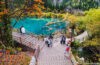 Tourists visit Jiuzhaigou Valley National Park, Sichuan, China, on October 21, 2023, enjoying autumn foliage and clear turquoise lakes along wooden walkways.