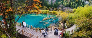 Tourists visit Jiuzhaigou Valley National Park, Sichuan, China, on October 21, 2023, enjoying autumn foliage and clear turquoise lakes along wooden walkways.