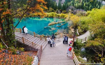 Tourists visit Jiuzhaigou Valley National Park, Sichuan, China, on October 21, 2023, enjoying autumn foliage and clear turquoise lakes along wooden walkways.