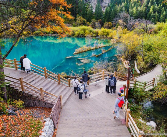 Tourists visit Jiuzhaigou Valley National Park, Sichuan, China, on October 21, 2023, enjoying autumn foliage and clear turquoise lakes along wooden walkways.