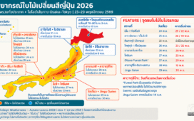 พยากรณ์ใบไม้เปลี่ยนสีญี่ปุ่น 2026 เทียบเส้นทางเที่ยว Osaka–Tokyo วันที่ 23–29 พฤศจิกายน