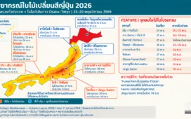 พยากรณ์ใบไม้เปลี่ยนสีญี่ปุ่น 2026 เทียบเส้นทางเที่ยว Osaka–Tokyo วันที่ 23–29 พฤศจิกายน