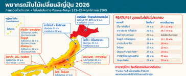 พยากรณ์ใบไม้เปลี่ยนสีญี่ปุ่น 2026 เทียบเส้นทางเที่ยว Osaka–Tokyo วันที่ 23–29 พฤศจิกายน