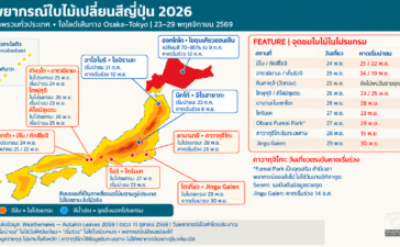พยากรณ์ใบไม้เปลี่ยนสีญี่ปุ่น 2026 เทียบเส้นทางเที่ยว Osaka–Tokyo วันที่ 23–29 พฤศจิกายน