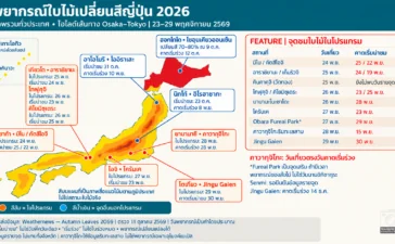 พยากรณ์ใบไม้เปลี่ยนสีญี่ปุ่น 2026 เทียบเส้นทางเที่ยว Osaka–Tokyo วันที่ 23–29 พฤศจิกายน